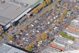 camberwell melbourne market