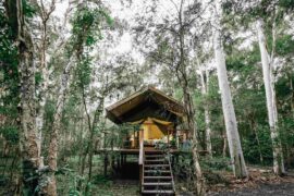 camping in jervis bay