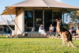 camping in noosa