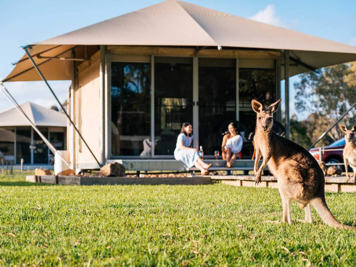 camping in noosa