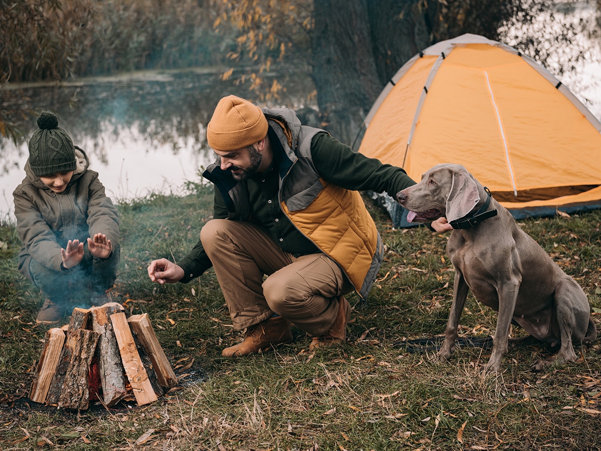 campsites nsw