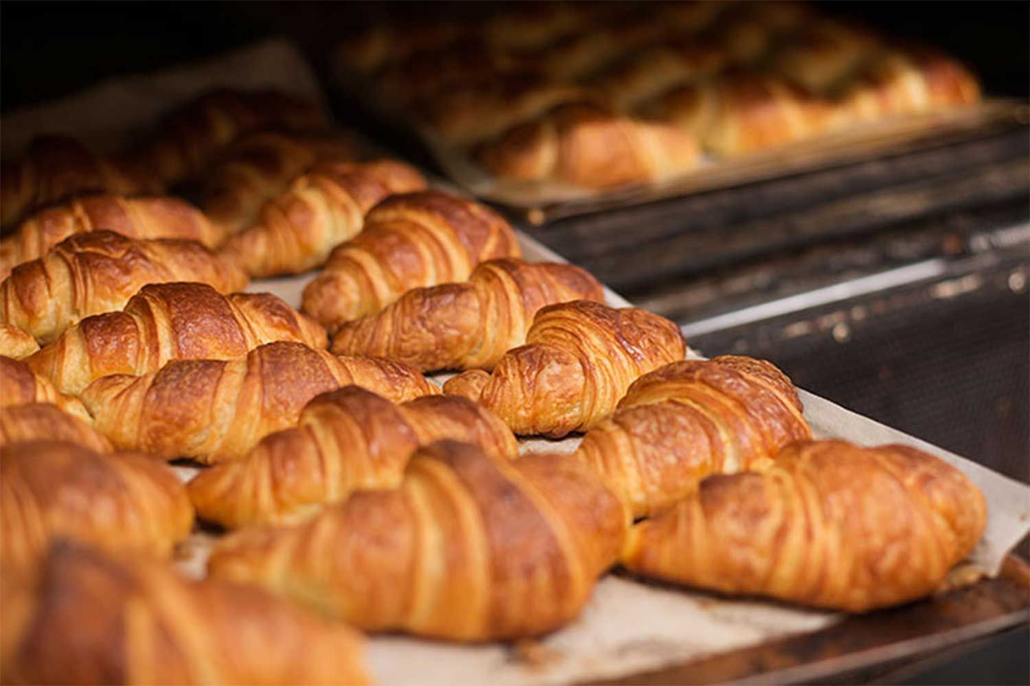 canberra bakeries