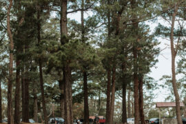 cataract dam picnic area