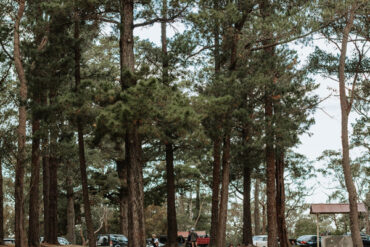 cataract dam picnic area