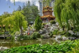 chinese garden of friendship sydney