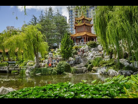 chinese garden of friendship sydney