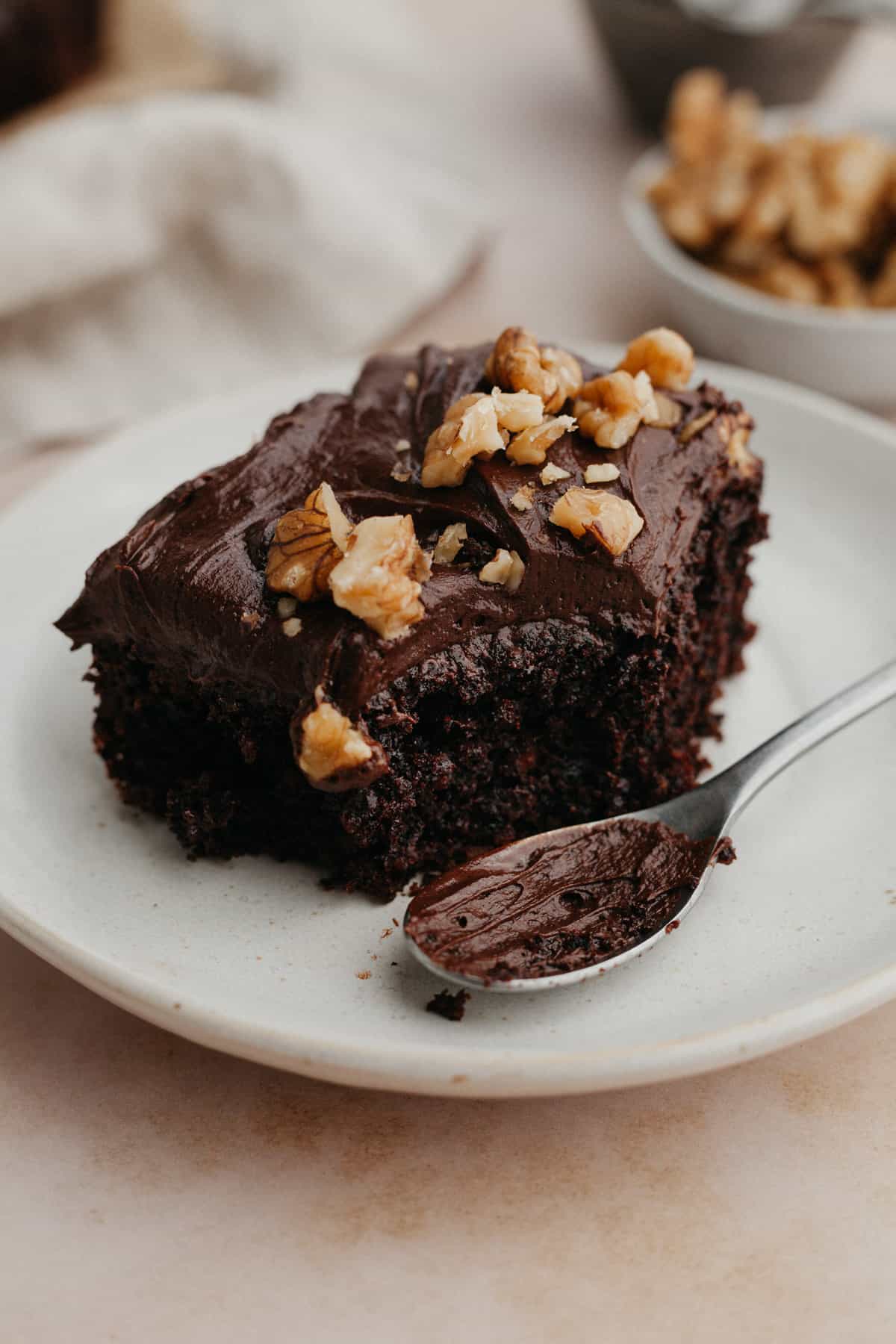 chocolate and walnut slice