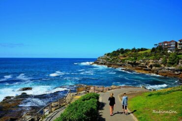 coogee coastal walk