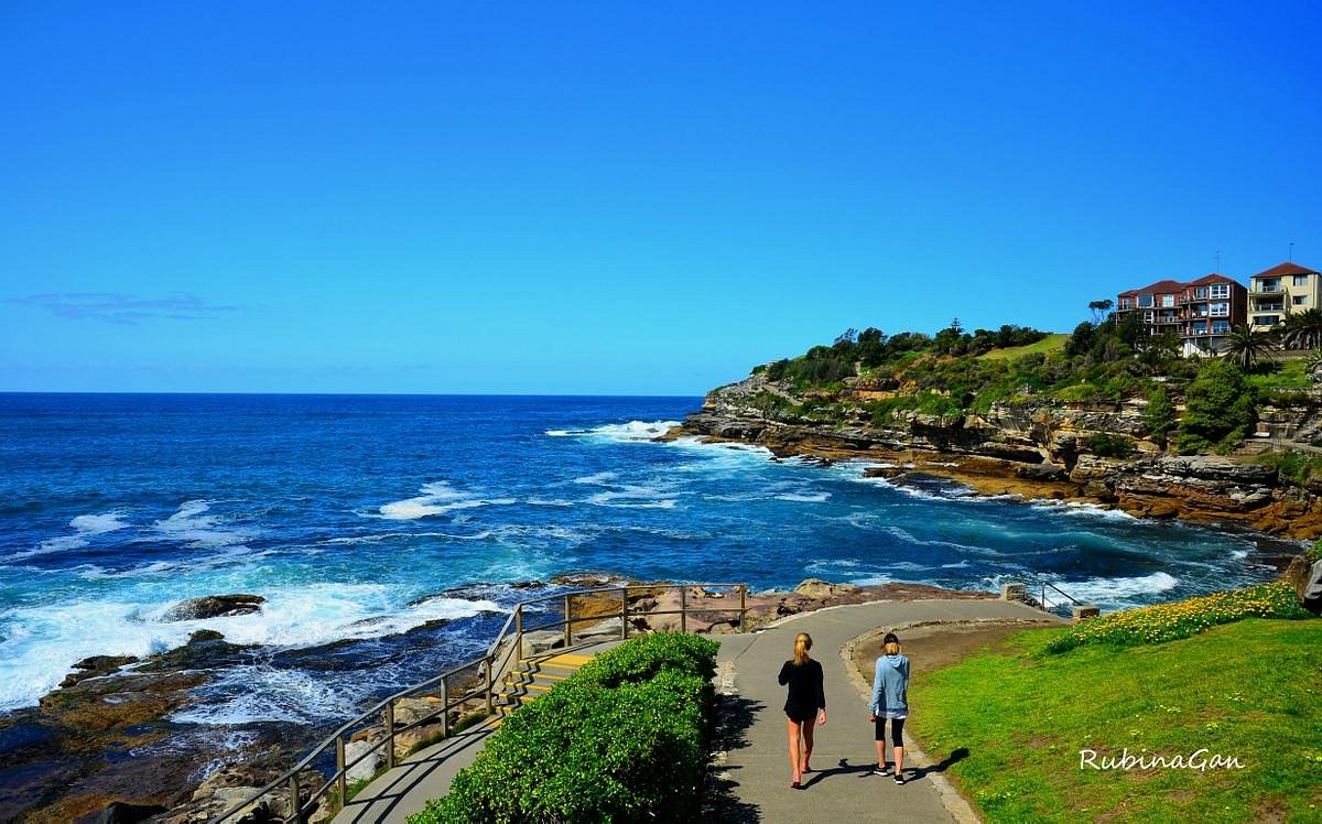 coogee coastal walk