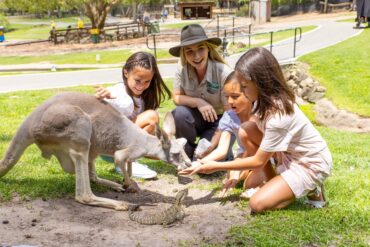 currumbin wildlife park