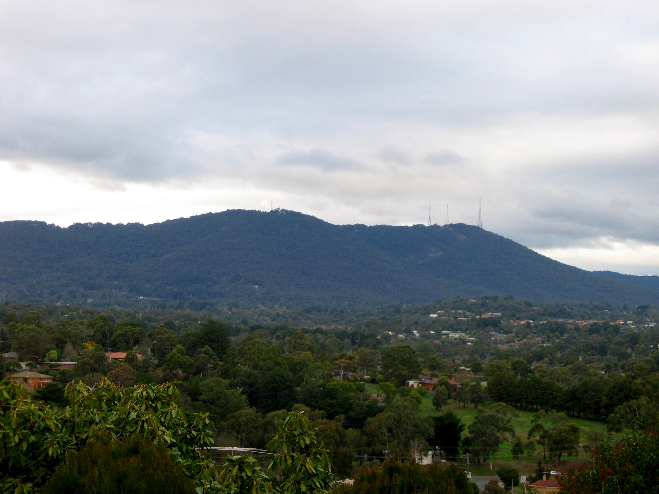 dandenong ranges