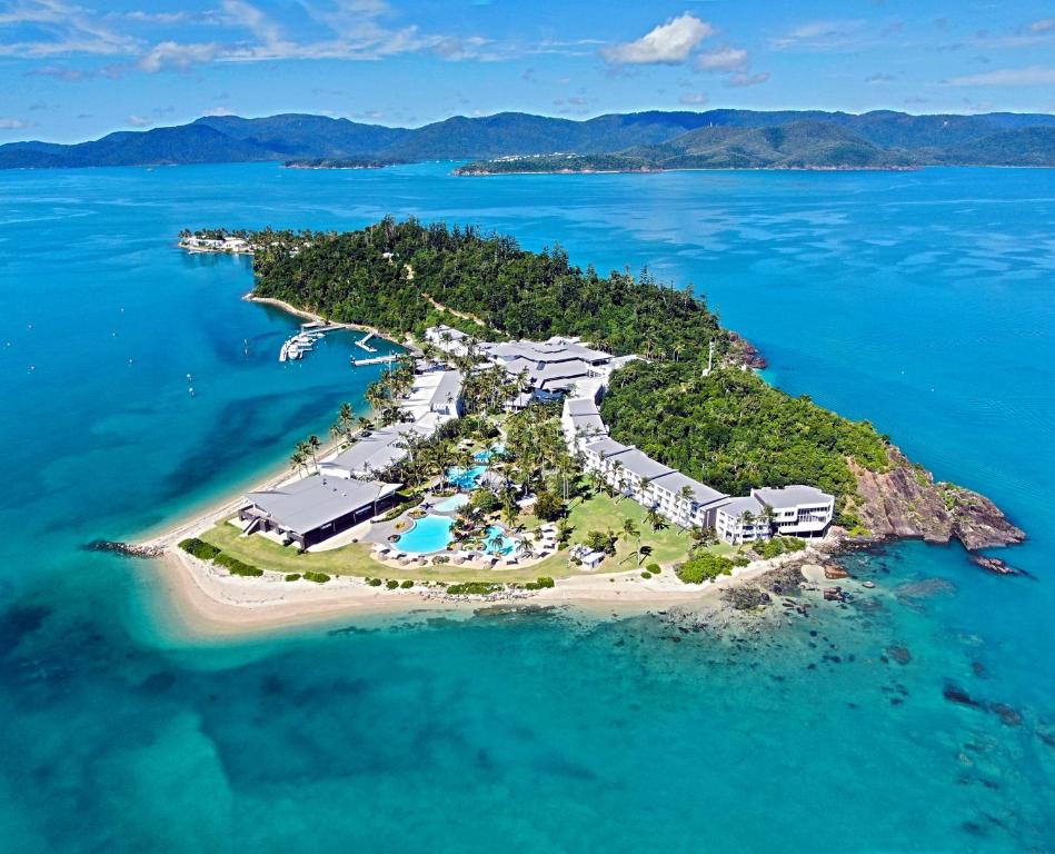 daydream island and resort