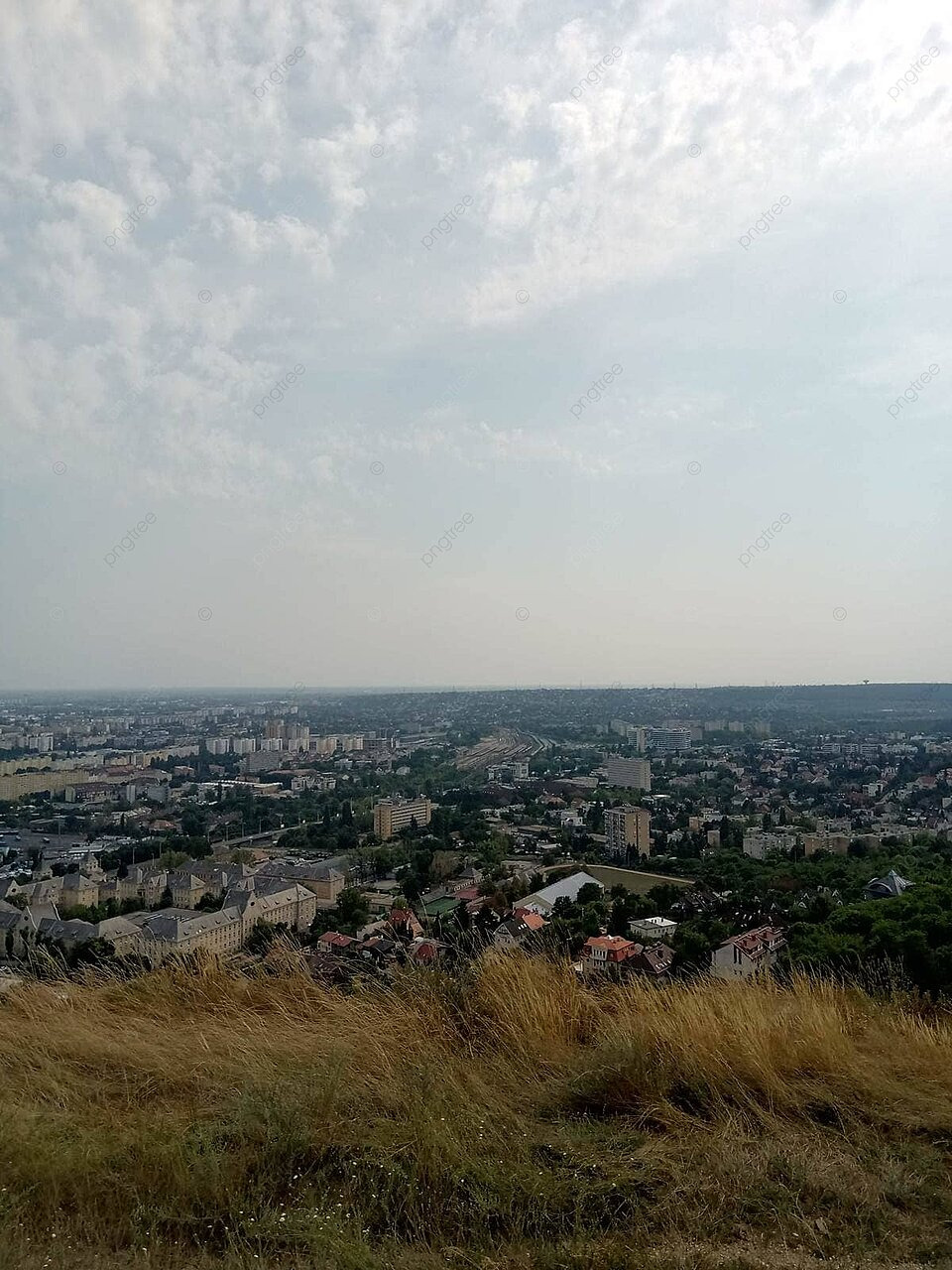 eagle on the hill lookout