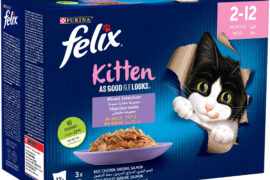 felix cat food review