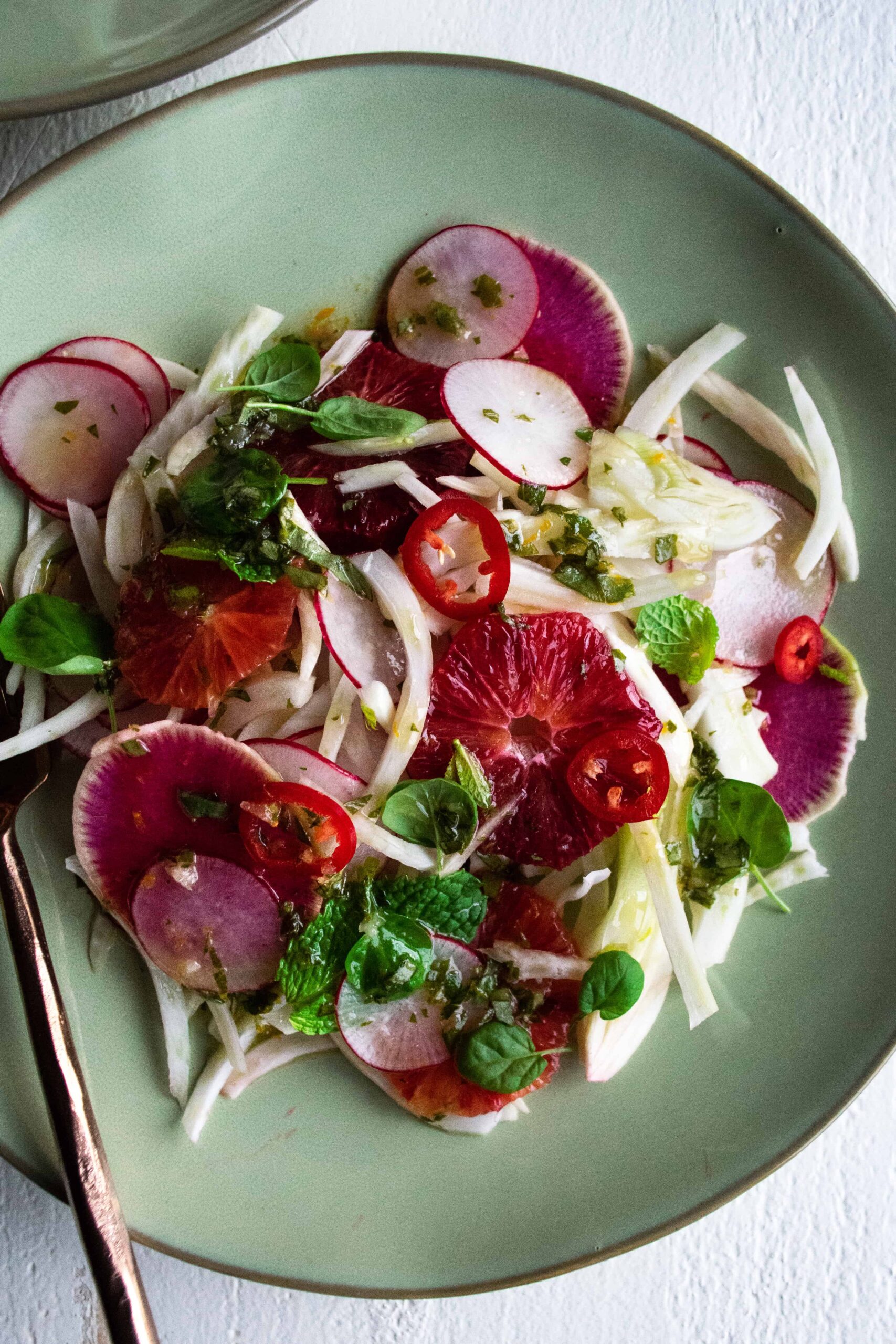 fennel and radish salad