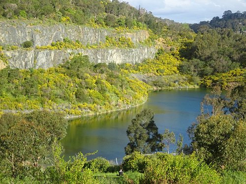 ferntree gully