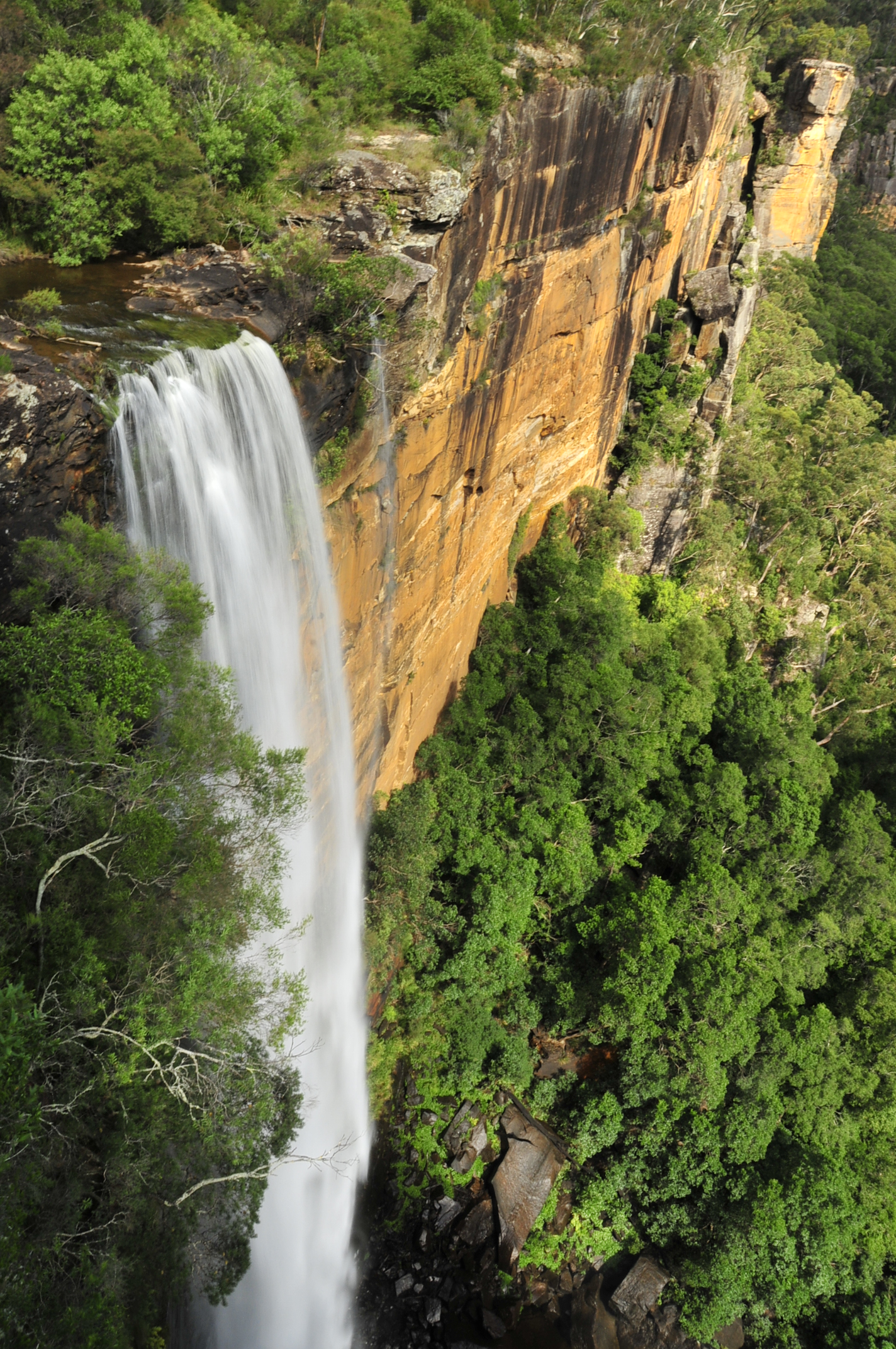 fitzroy fall