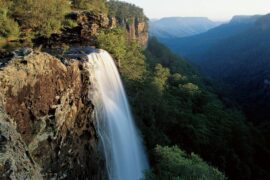 fitzroy falls