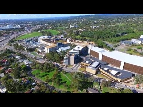 flinders hospital adelaide