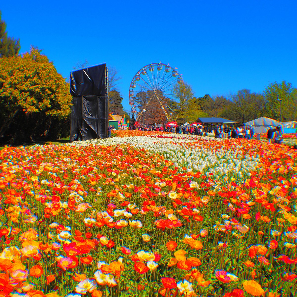 floriade canberra