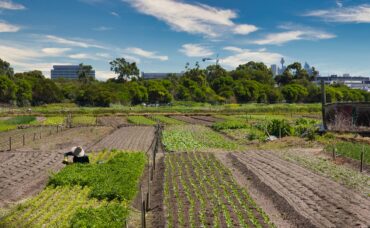 garden centres perth southern suburbs