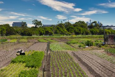 garden centres perth southern suburbs