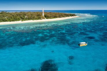 great barrier reef lady elliot island