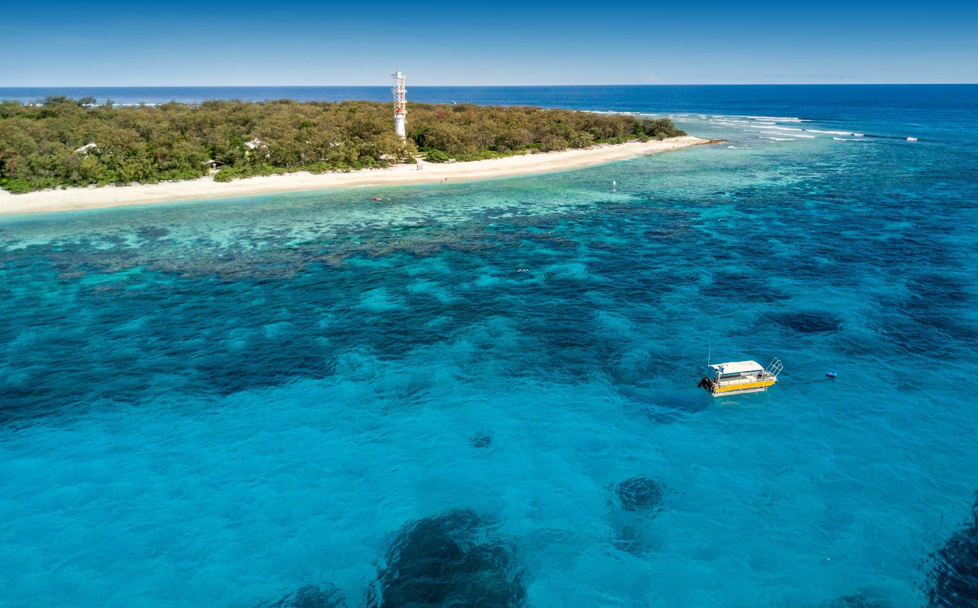 great barrier reef lady elliot island