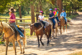 horse riding near me