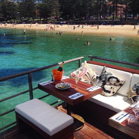 hugos manly