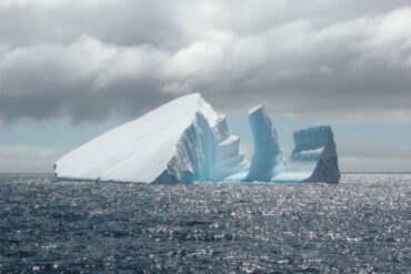 icebergs