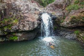 kondalilla falls montville