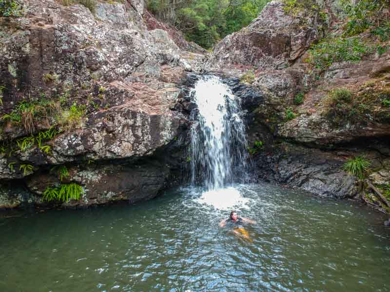 kondalilla falls montville