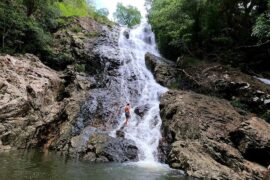 kondalilla falls national park