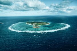 lady elliot island great barrier reef