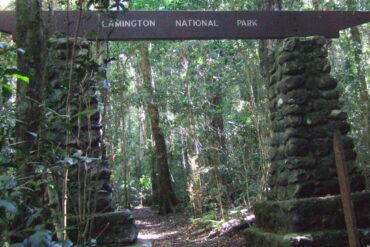 lamington national park australia