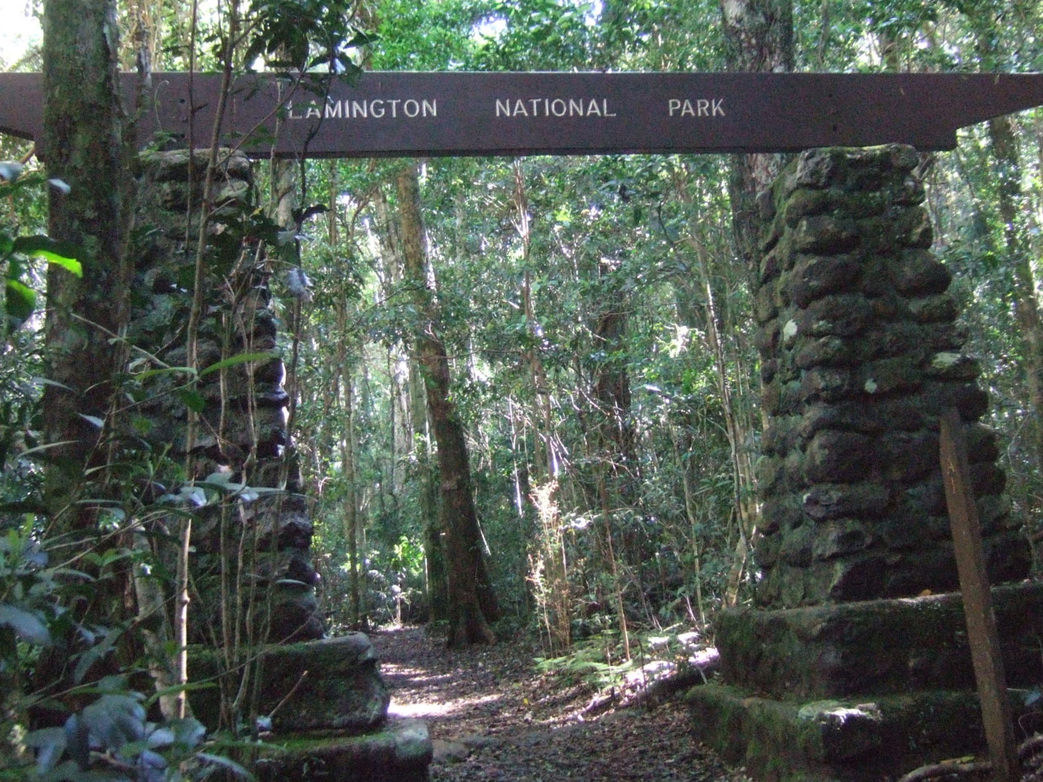 lamington national park australia