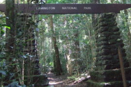 lamington national park location