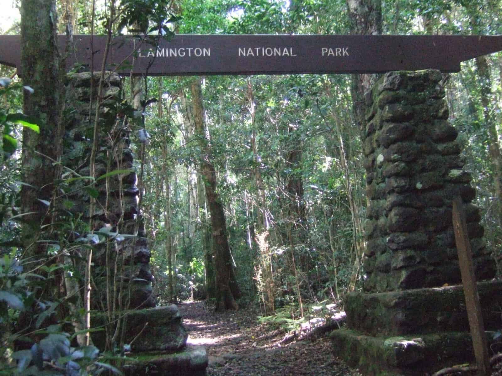 lamington national park location