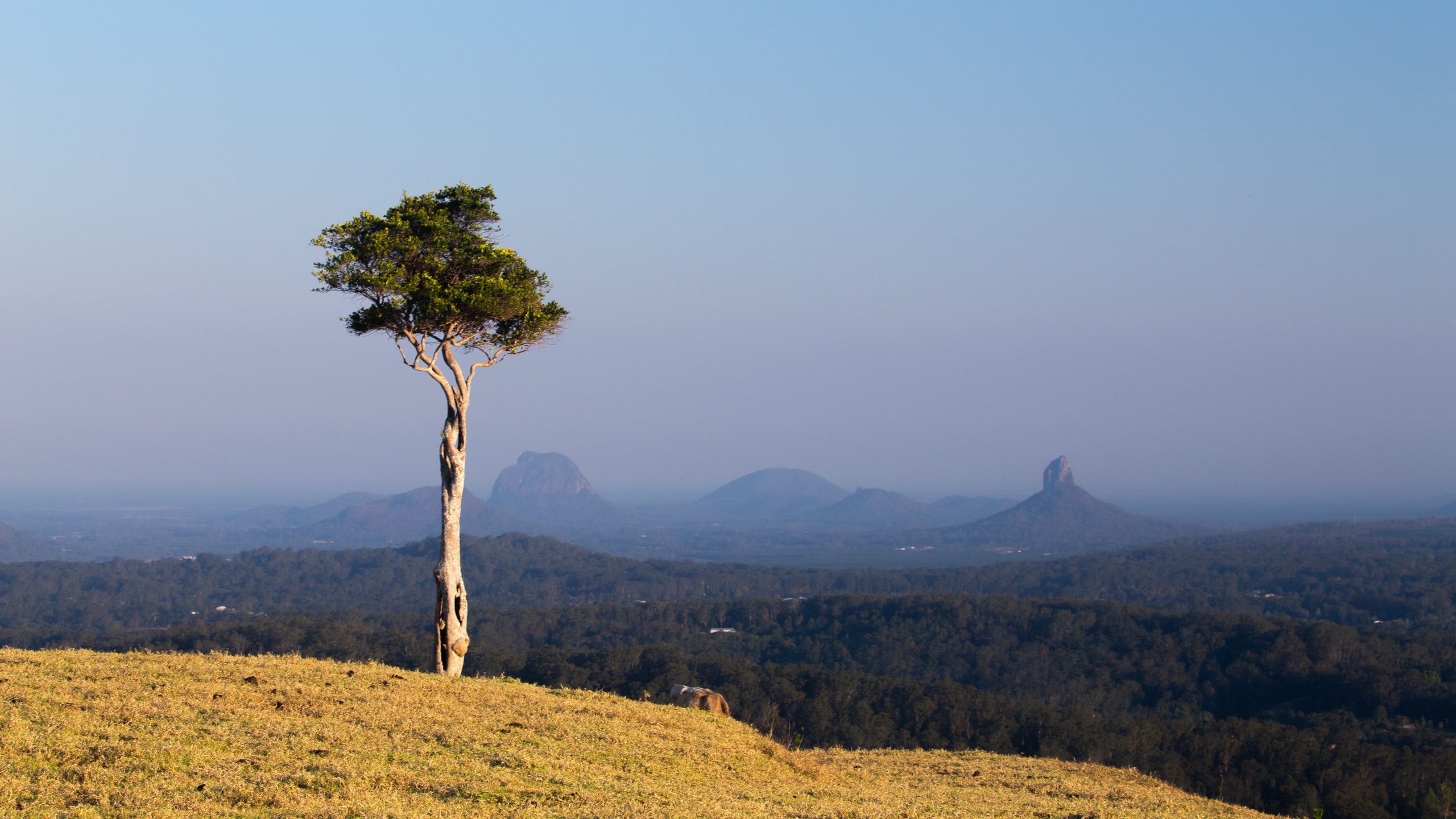 maleny australia