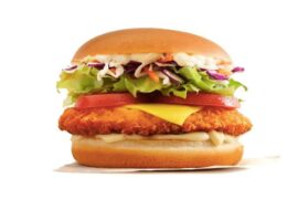 mcdonalds chicken schnitzel