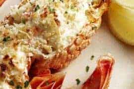 mornay sauce for crayfish