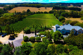 mornington peninsula wineries