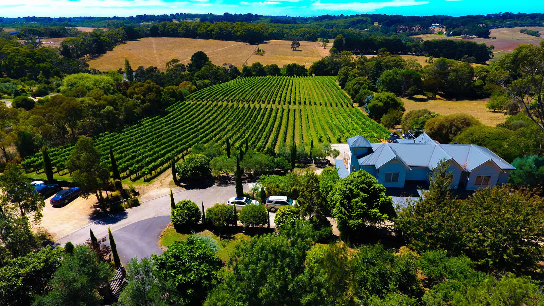 mornington peninsula wineries