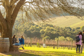 mornington peninsula wineries