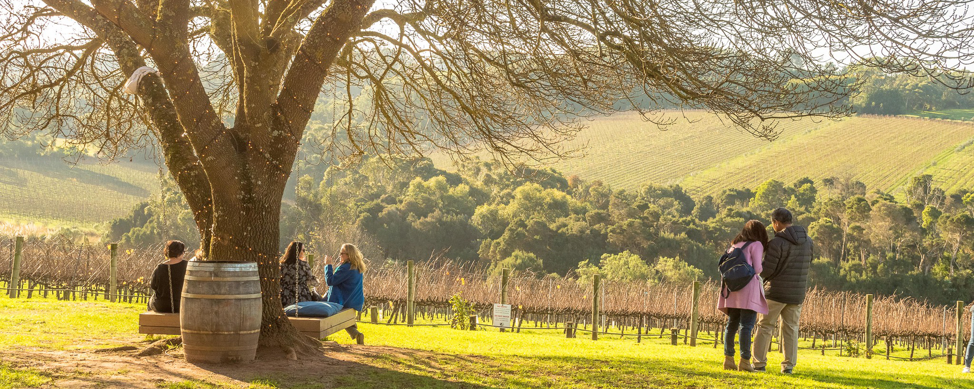 mornington peninsula wineries