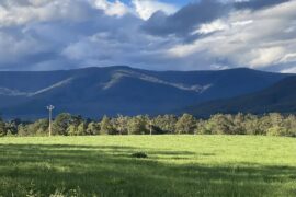 mount donna buang