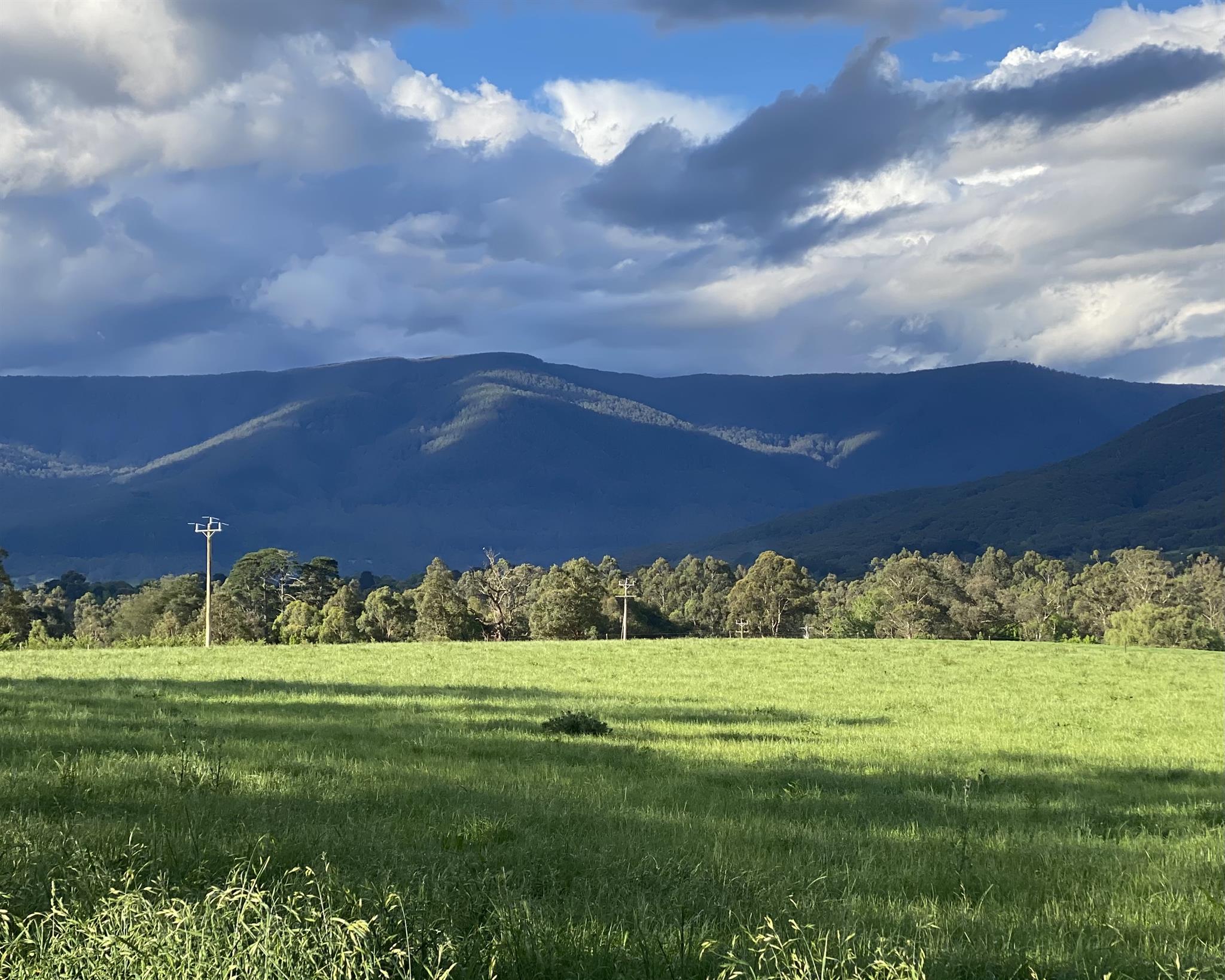 mount donna buang