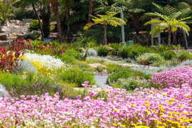 mt annan botanical gardens