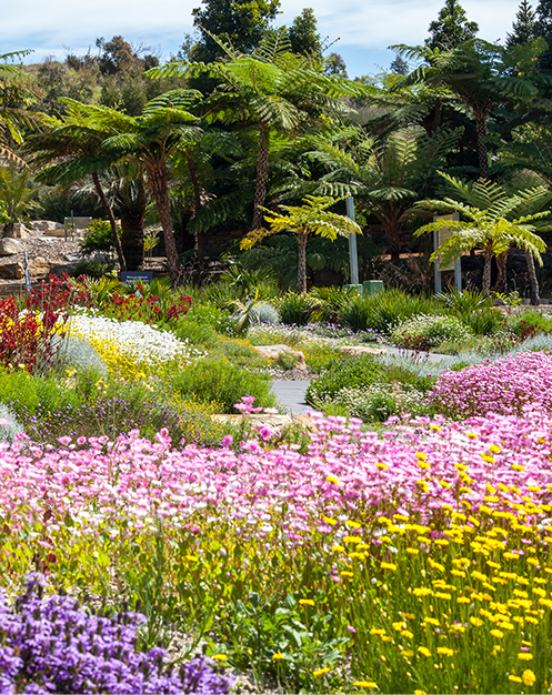 mt annan botanical gardens